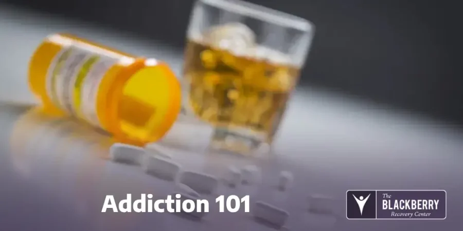 Addiction 101 