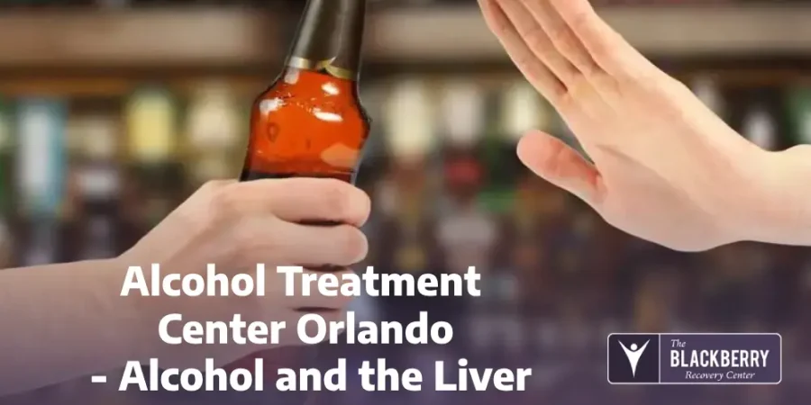 Alcohol Treatment Center Orlando - Alcohol and the Liver