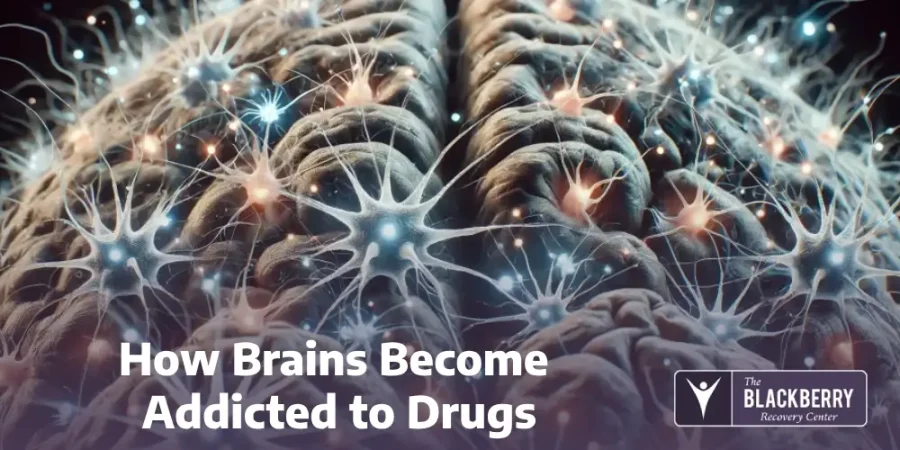 How Brains Become Addicted to Drugs