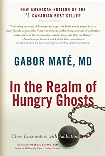 In The Realm of Hungry Ghosts - Gabor Mate
