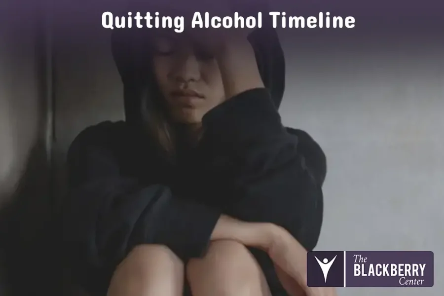 Quitting Alcohol Timeline
