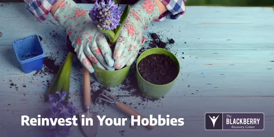 Reinvest in Your Hobbies