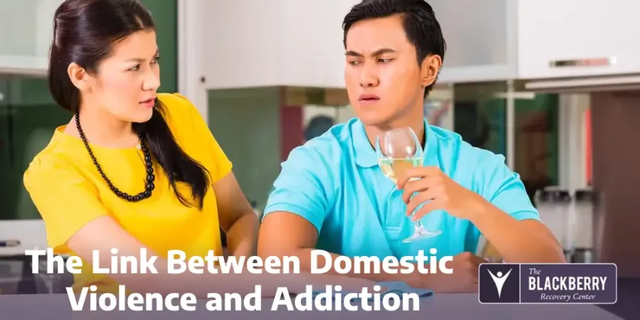 The Link Between Domestic Violence and Addiction