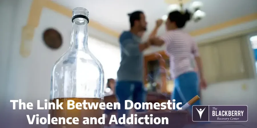 The Link Between Domestic Violence and Addiction