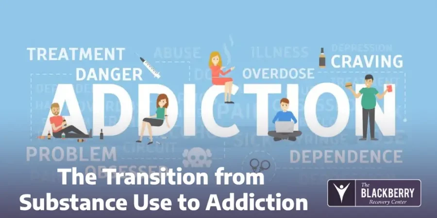 The Transition from Substance Use to Addiction