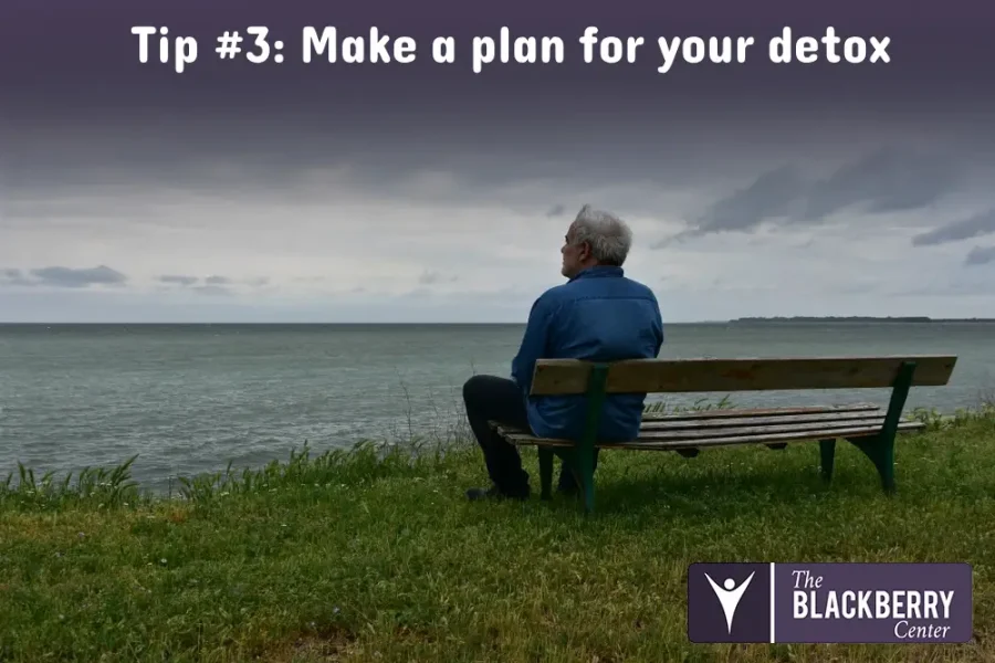 Tip #3: Make a plan for your detox
