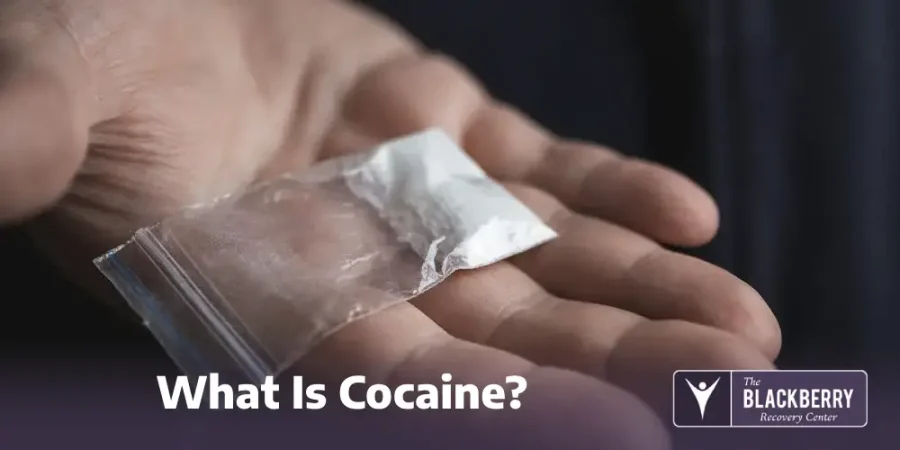 What Is Cocaine?