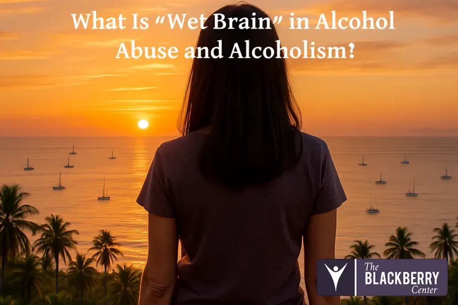 What Is “Wet Brain” in Alcohol Abuse and Alcoholism?