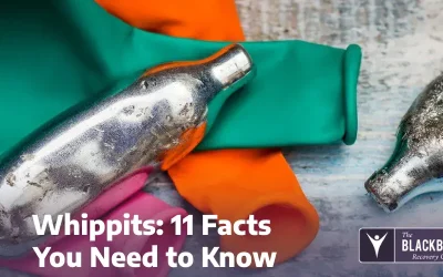 Whippits: 11 Facts You Need to Know